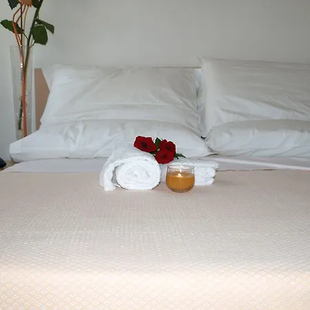 酒店 卡罗尔酒店 3*