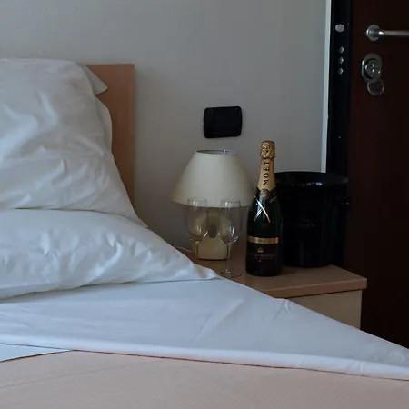 卡罗尔酒店 3* 蒙扎
